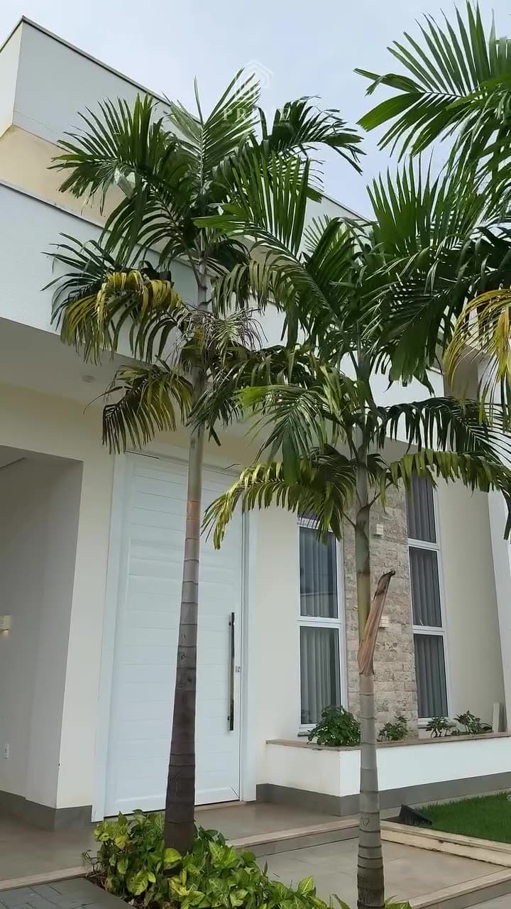 Tour em vídeo · Casa de alto padrão no Parque dos Ipês